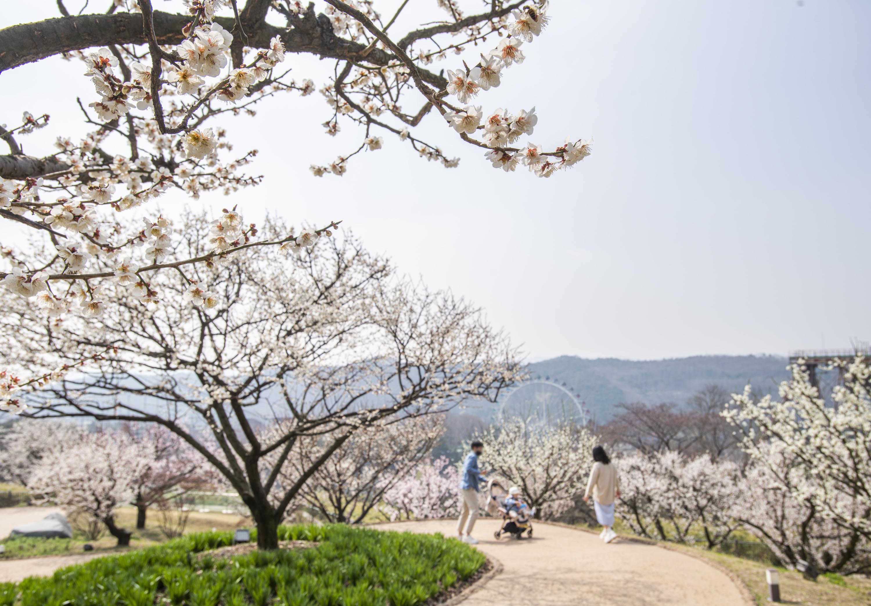 a6dd1fa5-0f15-44dc-a24e-b81283803f49.jpg